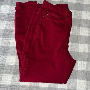 Judy Blue Skinny Denim Jeans